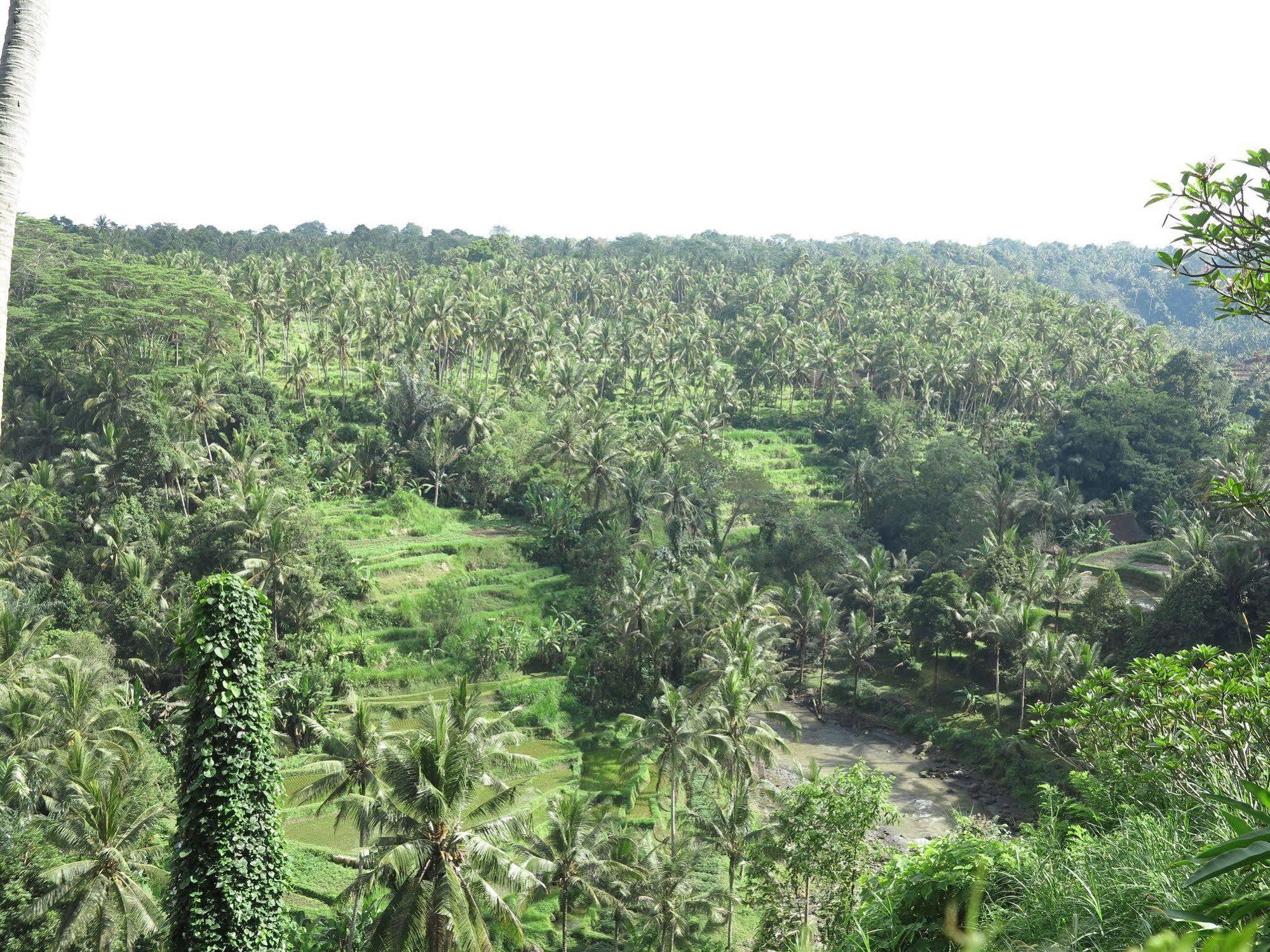Taman Bebek Bali Hotel Ubud  Bagian luar foto