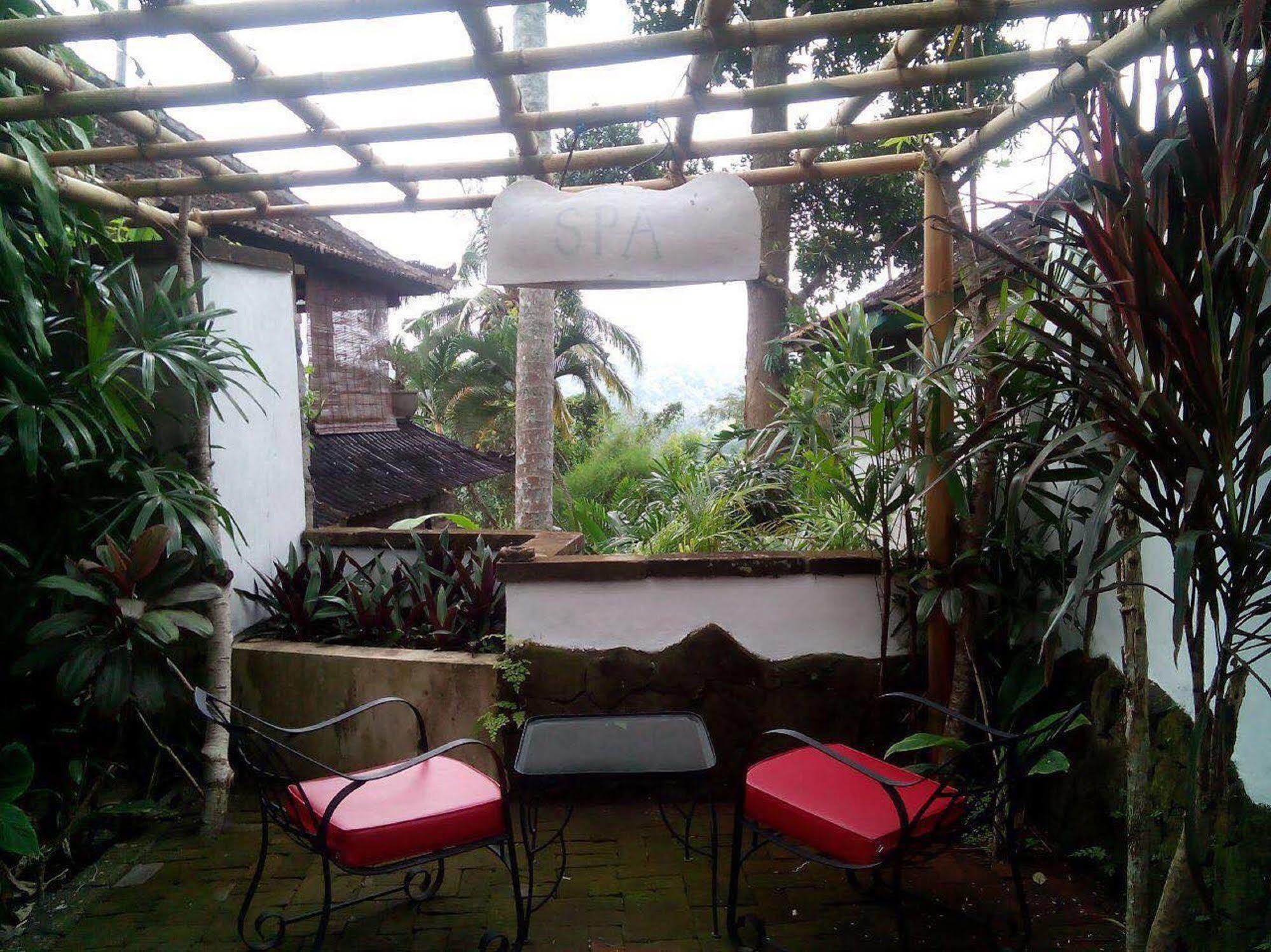 Taman Bebek Bali Hotel Ubud  Bagian luar foto
